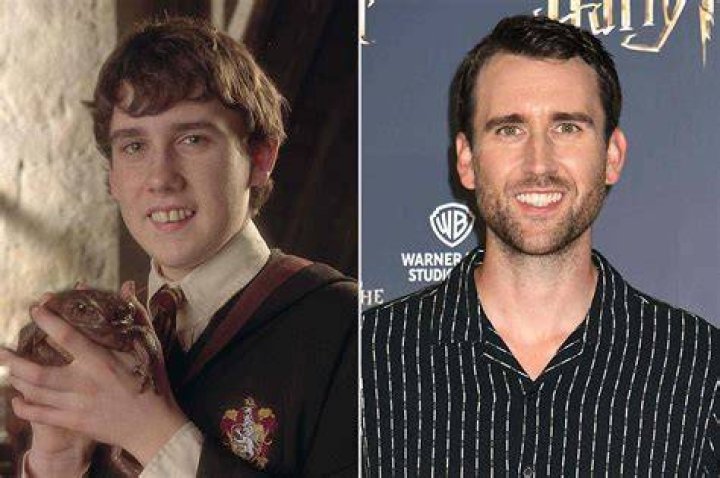 Harry Potter Now: A Glimpse into 2024 and Beyond