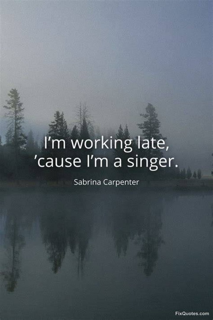 I'm Working Late Because I'm a Singer: The Life Behind the Music