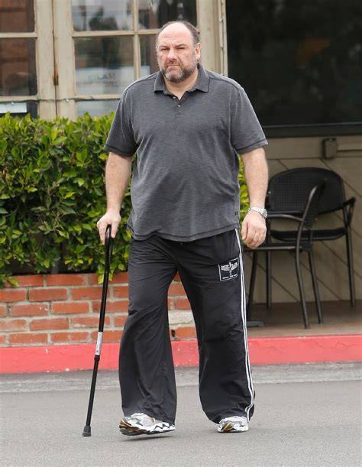 James Gandolfini Height and Weight: A Comprehensive Overview