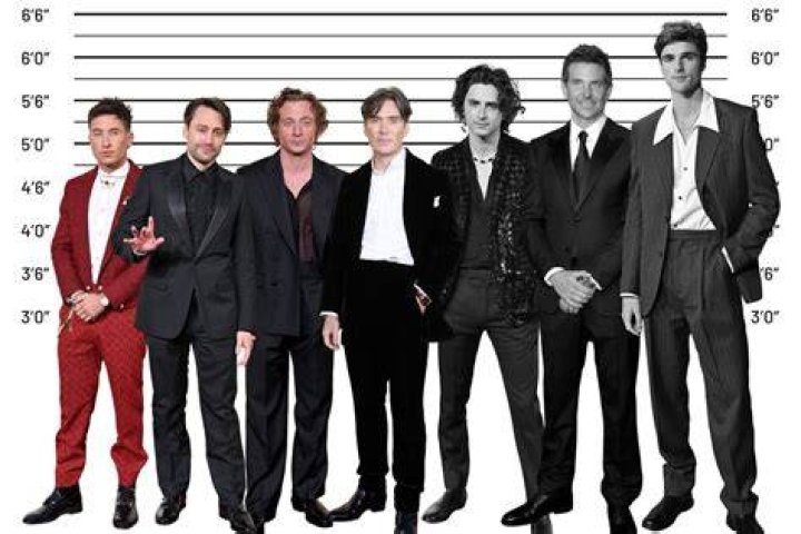 Jeremy Allen White Height: Everything You Need to Know