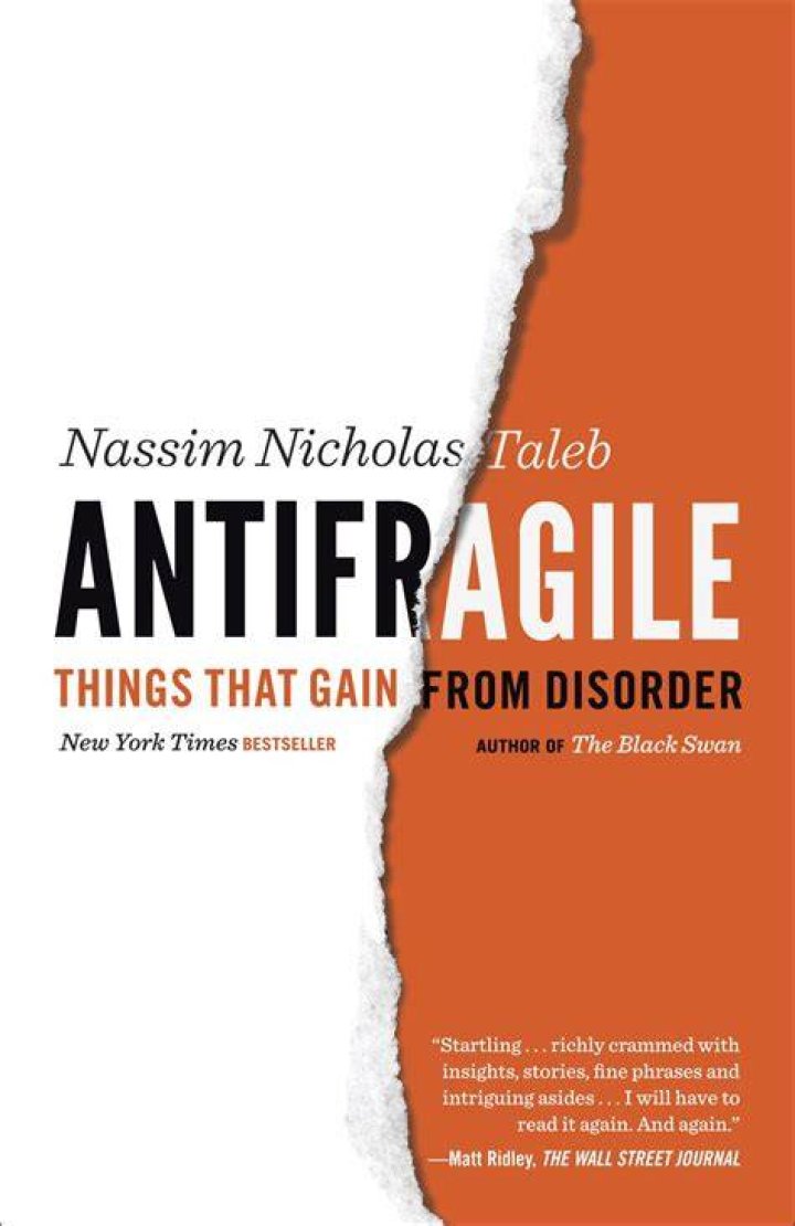 Nassim Nicholas Taleb: Understanding the Mind Behind Anti-Fragility