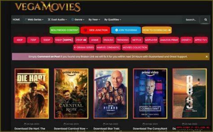 Understanding Vegamovies Man: Your Ultimate Guide